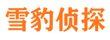 马龙市调查公司